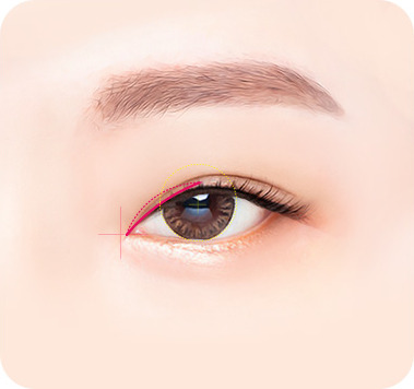 디자인 - 위트임