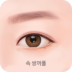 속 쌍꺼풀