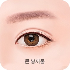 큰 쌍꺼풀