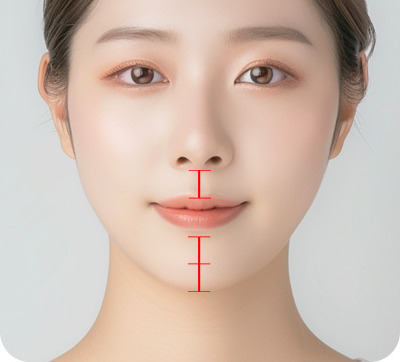 얼굴 비율에 맞는 인중