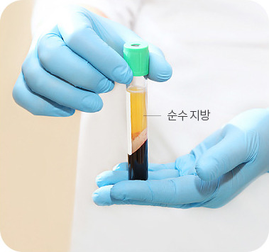 순수 지방만 분리