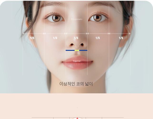 얼굴 5등분 비율로 본 이상적인 코의 넓이